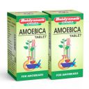 Baidyanath Asli Ayurved Amoebica I Ayurvedic Diarrhea Medicine I 100 Tab (Pack of 2)...
