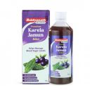 Baidyanath Premium Karela Jamun Juice - 1L ...