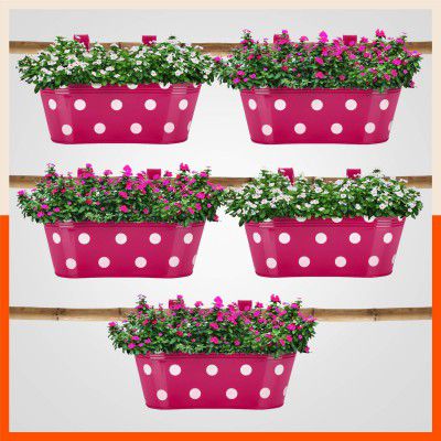 Bathla Patio ARA Hanging Metal Pot Holders/Planters for Home/Balcony/Garden | Corrosion Resistant with Detachable Double Hooks | Set of 5 - Pink