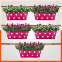 Bathla Patio ARA Hanging Metal Pot Holders/Planters for Home/Balcony/Garden | Corrosion Resistant with Detachable Double Hooks | Set of 5 - Pink...