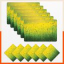 Bathla Table Mats - Set of 6-45cm x 30cm PVC Table Placemats & Coasters for Home Dining Table ...