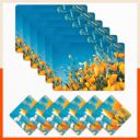 Bathla Table Mats - Set of 6-45cm x 30cm PVC Table Placemats & Coasters for Home Dining Table ...