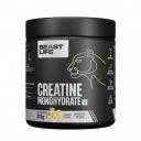 BeastLife Micronised Creatine Monohydrate Powder Shikanji 319g ...
