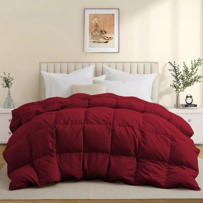 BEDDY FUSION Heavy Winter 600 GSM Comforter Single Size (60"X90")  - Burgundy Color