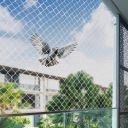 BENAVJI Bird Net for Balconies | Pigeon Net Anti Bird and Monkey Heavy Duty UV Stabilized HDPE Mesh with Installation kit White Color Size 6FTX10FT...