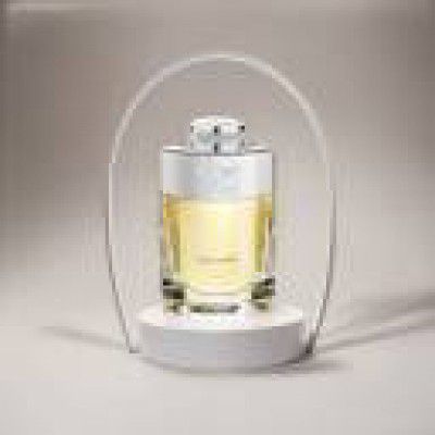 BENTLEY For Men Eau de Toilette - 100 ml  (For Men)