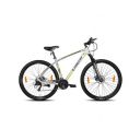 Bicycle 29 (Torreto D 21S) SLV/Blk 17.5...