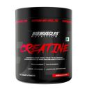 Bigmuscles Nutrition Creatine Powder [100 g, 33 Servings] | Micronized Creatine Monohydrate to Support Lean Muscle Repair & Recovery | Increase Strength and Athletic Performance...