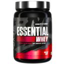 Bigmuscles Nutrition Essential Whey (1kg, Rich Chocolate)...