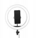 BigPlayer Ring led 12 inch Professional LED Ring Light...