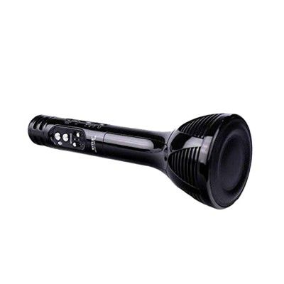 BigPlayer Type 2 Wireless Karaoke mic/mike/microphone & inbuilt Bluetooth Speaker, Recorder | For Smart phones Laptop Tablet | Birthday, Diwali, Kids, Party, Gift