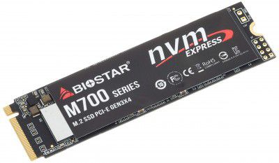 Biostar 256GB NVMe PCIe Gen3 x 4 80mm M.2 2280 Solid State Drive M700