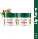 BIOTIQUE Fruit Brightening Lip Balm | De-pigmentation | Lightens & Evens-out Lip Tones Fruit (Pack of: 2, 24 g)...
