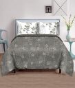 Blossoms pure100% Cotton King Size bedsheets with 2 Pillow Cases...