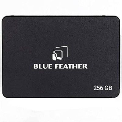 Blue Feather 128 GB 2.5 inch SATA III Internal Solid State Drive for Desktop or Laptop