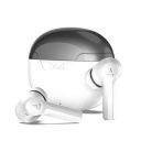 boAt Airdopes 300 TWS in Ear Earbuds with 4 Mics AI-ENx™...
