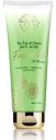 Body Cupid Tea Tree and Neem Anti Acne Face Wash with Tea Tree Oil & Neem Extract - 100mL...