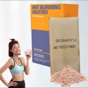 Bonayu Whey Protein Blend Fat Burning Matrix (400 grams-10 Packets)...