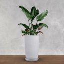 BonKaso 18 inch White Marble Finish Flower Pot – Tall, Durable & Lightweight Polymer Tower Planter for Indoor & Outdoor Use: Home, Office, Garden & Balcony (Gamla/Gamale)...