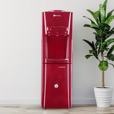 BonKaso Blueprint Hot & Cold Water Dispenser 21C Top Loading With Refrigerator MAROON