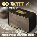 Boult Retroamp Z40 with 40W Bluetooth Speaker with Dual Dynamic Drivers, 14Hrs Playtime, Type-C Charging, (Royal Gold)...