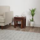 Amazon Brand Solimo Laatzen Nested Side Table, Set of 2 ...