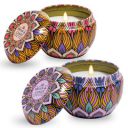 Bryan & Candy Scented Candles Gift Set for Men & Women,60gm Pack of 2...