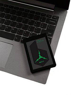 BRYT-256-SSD,Black,500 MBs Write,500 MBs Read, Light Weight, Portable 10X Faster Than Hard Disk, 256GB