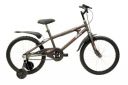 BSA Wild Rock 16T Kids Cycle - Trooper Grey, 10 Inch Steel Frame for Boys...