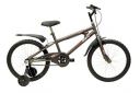 BSA Wild Rock 20T Kids Cycle - Trooper Grey...