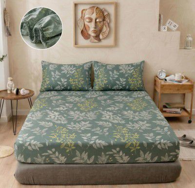 BSB HOME 240 TC Cotton Fitted Double Bedsheet with 2 Pillow Covers – 72 x 72 + 8 Inches (Sage Green)