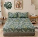 BSB HOME 240 TC Cotton Fitted Double Bedsheet with 2 Pillow Covers – 72 x 72 + 8 Inches (Sage Green)...