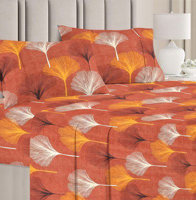 BSB HOME Prime Collections 160tc Pure Microfiber Glace Cotton Breathable Supersoft Wrinkelfree Double Bedsheet with 2 King Size Pillow Covers-Brown Color