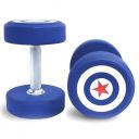 BUDWILL Anti Skid Rubber & ??Alloy Steel Handle Round Shape Dumbbell Fitness Workout 1 Pair Set (10 kg x 2=20 kg-Blue)...