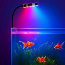 BURAQ N6 Multicolor Aquarium LED Light 2.5W | Clip-On Lamp for Nano Fish Tanks & Bowls...