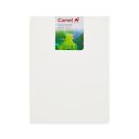 Camel Camlin Kokuyo Canvas Board, 30cm x 40cm...