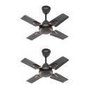Candes Brio Turbo 600 mm/24-inch Small Ceiling Fans | 2 Yr Warranty | Smoke Brown (Pack of 2)...
