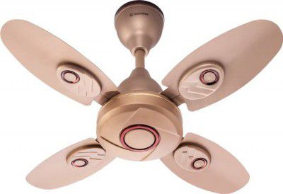 Candes Nexo 600 mm 4 Blade Ceiling Fan  (Golden | Pack of 1)