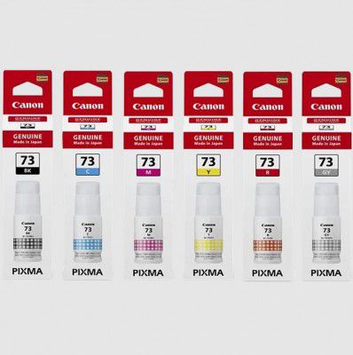 Canon Pixma GI 73 Pack of 6 Ink Bottle (4701C004AA, Multicolor)