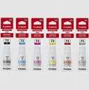 Canon Pixma GI 73 Pack of 6 Ink Bottle (4701C004AA, Multicolor)...