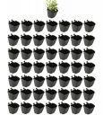 CAPPL Plastic Vertical Garden Wall Hanging Pot, (Black, Standard, 50 Pieces)...