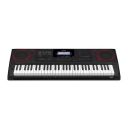 Casio CT-X8000IN 61-Key Portable Keyboard (Black)...