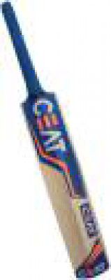 CEAT size Poplar Willow Cricket Bat For 11 - 13 Yrs  (700 g)
