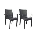 Cello Ecstasy Chair Set Pack of 2 - Grey...