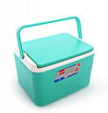 Cello Plastic Chiller Ice Packs, 3 Litres, Green...