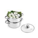 Cello Steelox Induction Compatible Stainless Steel Multi Purpose Steamer/Modak Maker with Glass Lid, 18Cm...