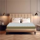 Centuary Mattress Softopedic 2.0 Best King Foam Mattress (72 x 72 x 6)...
