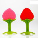 Chanak Baby Silicone Teether, Fruit Teether for Toddlers (Red & Pink)...