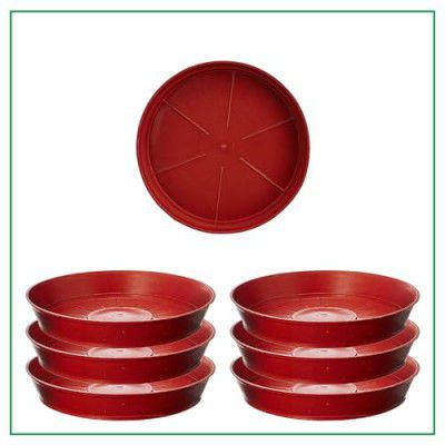 CINAGRO Plant Saucer (8 Inch - Pack of 6) Heavy Duty Plastic Plant Water Tray, Planter Drip Trays for Pot, Flower Saucers for Indoors