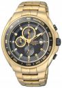 Citizen Analog Black Dial Mens Watch - AN4012-51E...